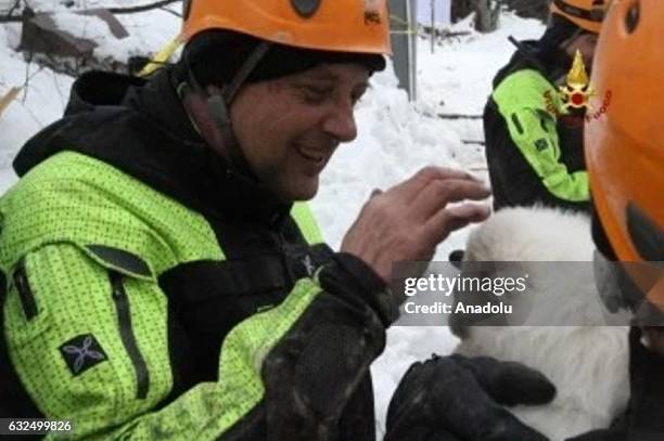 217 Pet Fire Rescue Stock Photos, High-Res Pictures, and Images - Getty ...