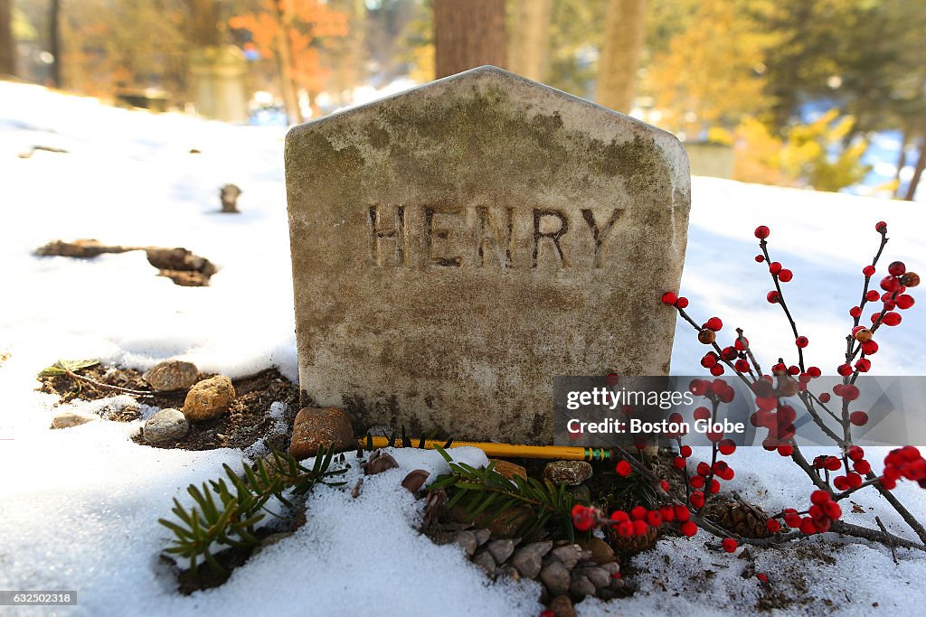 Gravestone Of Henry David Thoreau