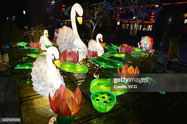 Lantern group of swans seen at the upcoming 31st Qinhuai lantern fair on January 22, 2017 in Nanjing, Jiangsu Province of China. To welcome the Year...