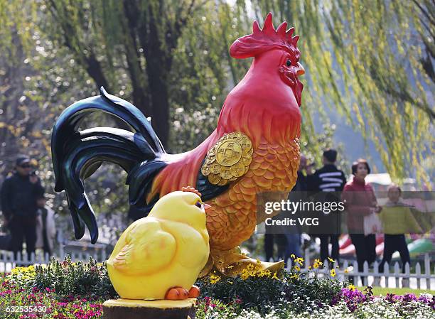 The sculptures of rooster and chicks seen at a park on January 23, 2017 in Wenzhou, Zhejiang Province of China. To welcome the Year of Rooster,...