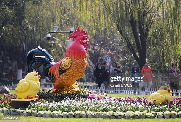 The sculptures of rooster and chicks seen at a park on January 23, 2017 in Wenzhou, Zhejiang Province of China. To welcome the Year of Rooster,...