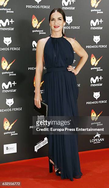 Belen Lopez attends the 2016 Feroz Cinema Awards at Duque de Patrana Palace on January 23, 2017 in Madrid, Spain.