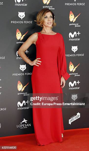 Eva Isanta attends the 2016 Feroz Cinema Awards at Duque de Patrana Palace on January 23, 2017 in Madrid, Spain.