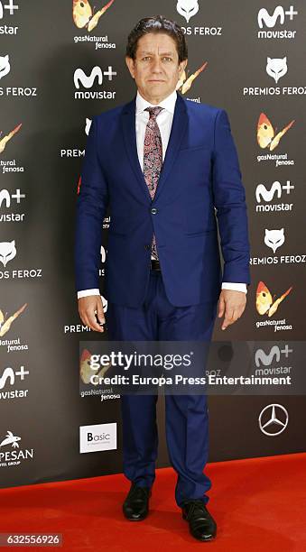 Pedro Casablanc attends the 2016 Feroz Cinema Awards at Duque de Patrana Palace on January 23, 2017 in Madrid, Spain.