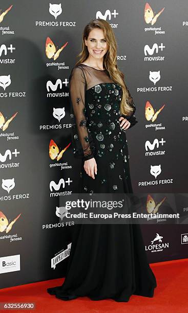 Vanesa Romero attends the 2016 Feroz Cinema Awards at Duque de Patrana Palace on January 23, 2017 in Madrid, Spain.