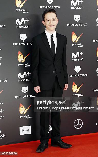 Lewis MacDougall attends the 2016 Feroz Cinema Awards at Duque de Patrana Palace on January 23, 2017 in Madrid, Spain.