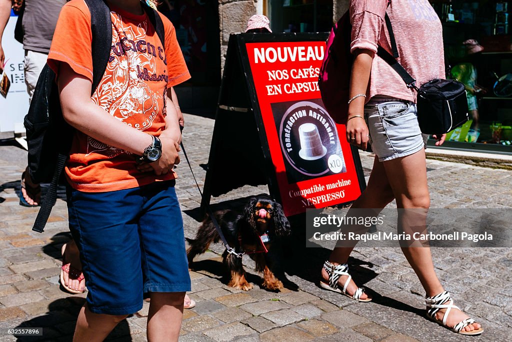 Tourists walking with funny dog on stone streets...