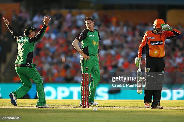 Scott Boland of the Stars looks on as David Hussey appeals for a catch during the Big Bash League match between the Perth Scorchers and the Melbourne...