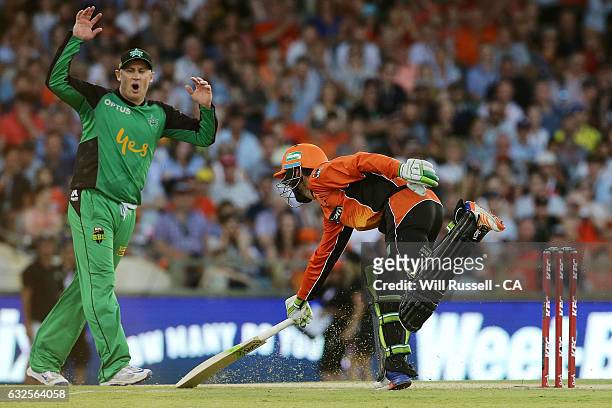 Sam Whiteman of the Scorchers runs for the crease during the Big Bash League match between the Perth Scorchers and the Melbourne Stars at the WACA on...