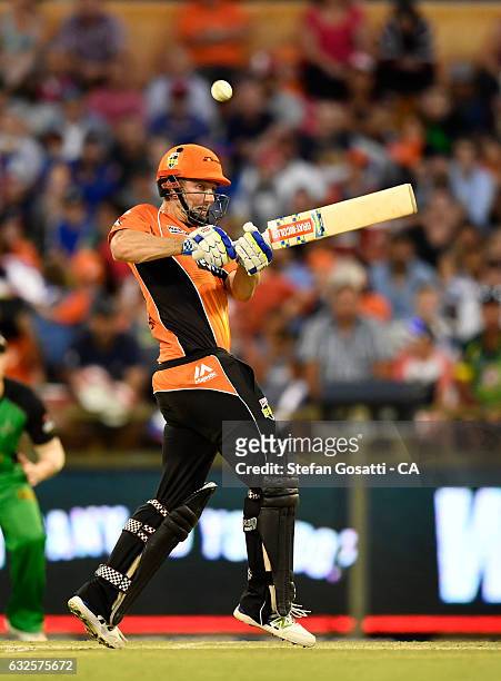 Shaun Marsh of the Scorchers bats during the Big Bash League match between the Perth Scorchers and the Melbourne Stars at the WACA on January 24,...