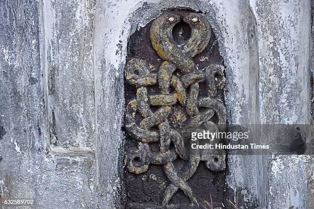 Ancient entwined snake remains at Raisen on January 8, 2017 in Raisen, India. History buffs are calling it the Great Wall of India as it is suspected...