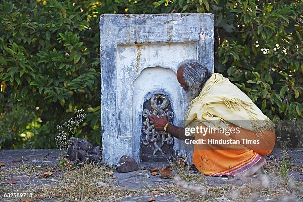 Sukhdev Maharaj explains about the ancient entwined snake remains at Raisen on January 8, 2017 in Raisen, India. History buffs are calling it the...