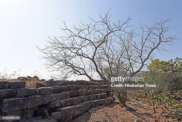The remains of a great wall of Raisen on January 8, 2017 in Raisen, India. History buffs are calling it the Great Wall of India as it is suspected to...