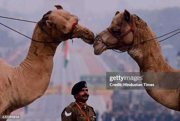 Soldiers were seen rehearsing for the Beating Retreat Ceremony ahead of Republic Day Parade, at Rajpath on January 24, 2017 in New Delhi, India.