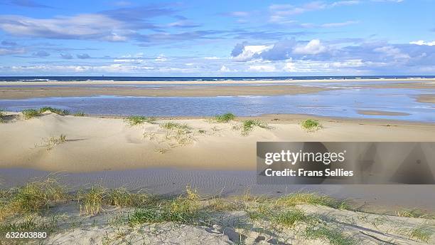 the northern coast of vlieland, wadden island, the netherlands - vlieland stock pictures, royalty-free photos & images