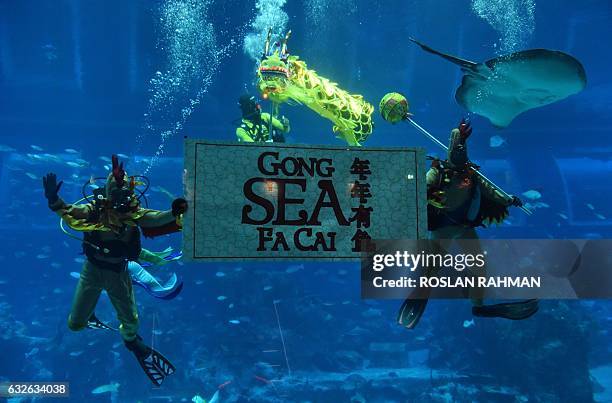 Divers wearing rooster headgear perform an underwater dragon dance performance at the S.E.A. Aquarium at Resorts World Sentosa in Singapore on...