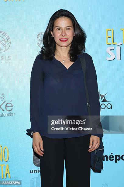 Arcelia Ramirez attends the "El Tamano Si Importa" Mexico City premiere red carpet at Cinepolis Oasis Coyoacan on January 24, 2017 in Mexico City,...