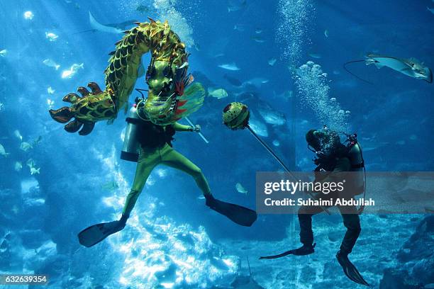 Divers perform an underwater dragon dance performance at the S.E.A Aquarium at Resorts World Sentosa on January 25, 2017 in Singapore. On January 28,...