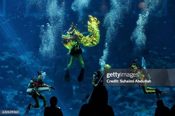 Divers dressed in rooster costume perform an underwater dragon dance performance at the S.E.A Aquarium at Resorts World Sentosa on January 25, 2017...