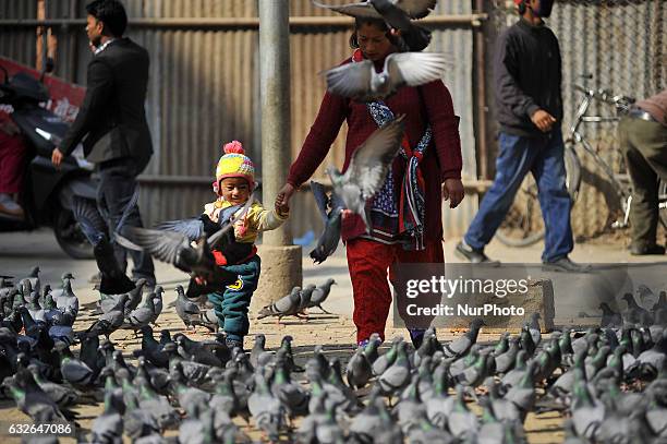 Nepalese mother helps her child to play with pigeons at Basantapur Durbar Square, Kathmandu, Nepal on Wednesday, January 25, 2017. Basantapur Durbar...