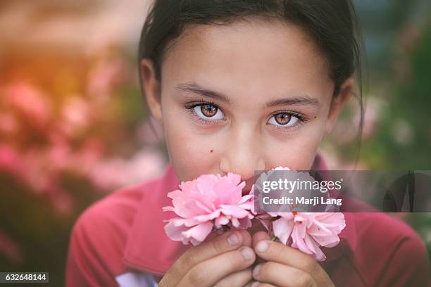 Lovely little girl behind a pair of Damask roses in Konya, Central Anatolia region, Turkey.