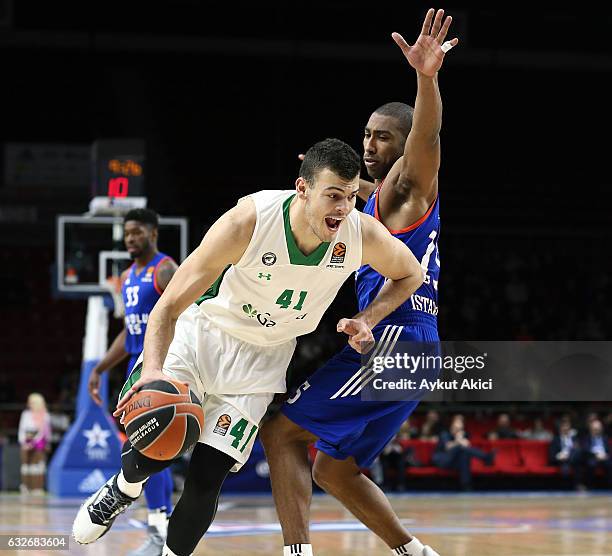 Ante Zizic, #41 of Darussafaka Dogus Istanbul in action during the 2016/2017 Turkish Airlines EuroLeague Regular Season Round 19 game between Anadolu...