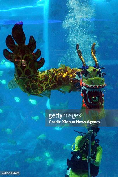 Jan. 25, 2017 -- A diver performs the underwater dragon dance at Singapore's Resorts World Sentosa S.E.A. Aquarium on Jan. 25, 2017. The RWS S.E.A....