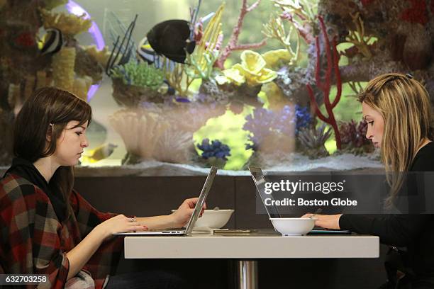 Kelly Shalk, left, and Lia McBrideat sit at a table in the cafeteria of the Twitter office in Cambridge, MA on Feb. 25, 2016 while fish in a large...