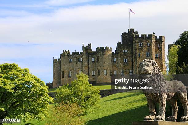 alnwick castle, northumberland, england - castillo de alnwick fotografías e imágenes de stock