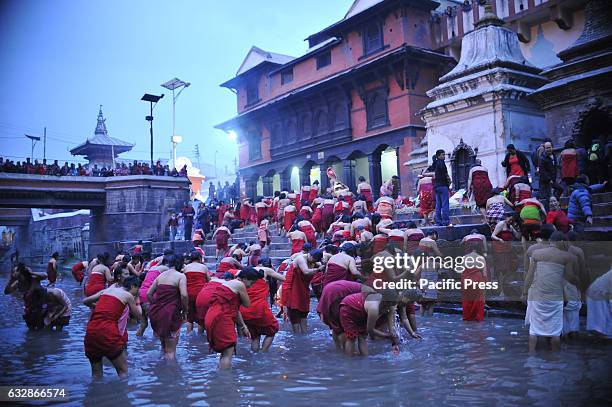 Nepalese devotees takes holy bath at Pashupathnath Temple, Kathmandu during Madhav Narayan Festival or Swasthani Brata Katha. Nepalese Hindu women...