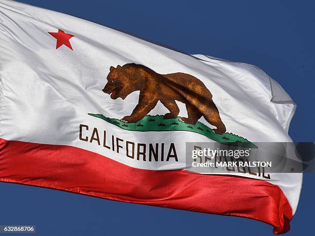 The California State flag flies outside City Hall, in Los Angeles, California on January 27, 2017. A campaign by Californians to secede from the rest...
