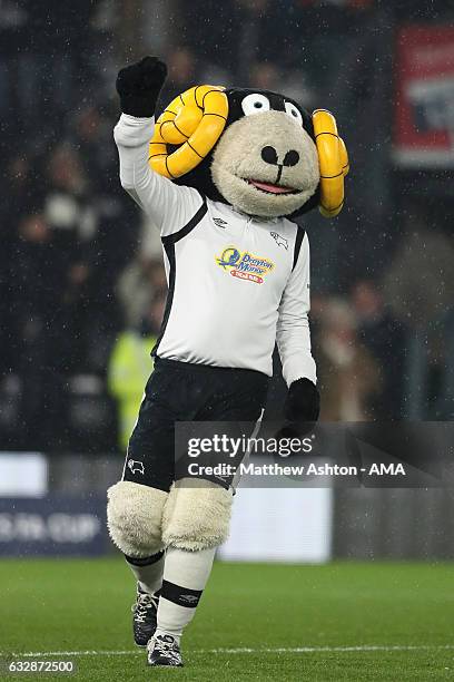 Rammie the Ram the Derby County mascot during the Emirates FA Cup Fourth Round match between Derby County and Leicester City at iPro Stadium on...