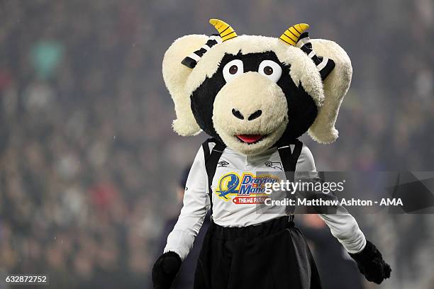 Ewie the female Derby County mascot during the Emirates FA Cup Fourth Round match between Derby County and Leicester City at iPro Stadium on January...