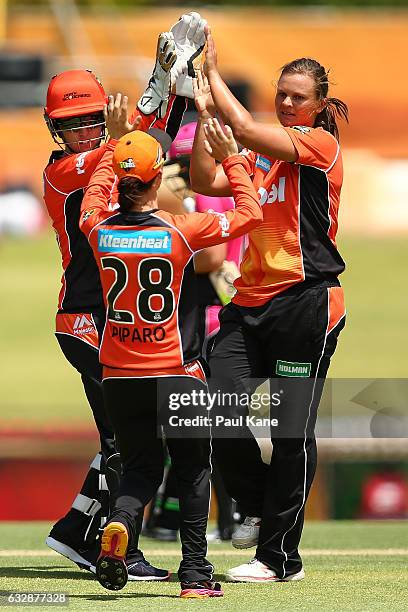 Suzie Bates of the Scorchers celebrates the wicket of Ashleigh Gardner of the Sixers during the Women's Big Bash League match between the Perth...