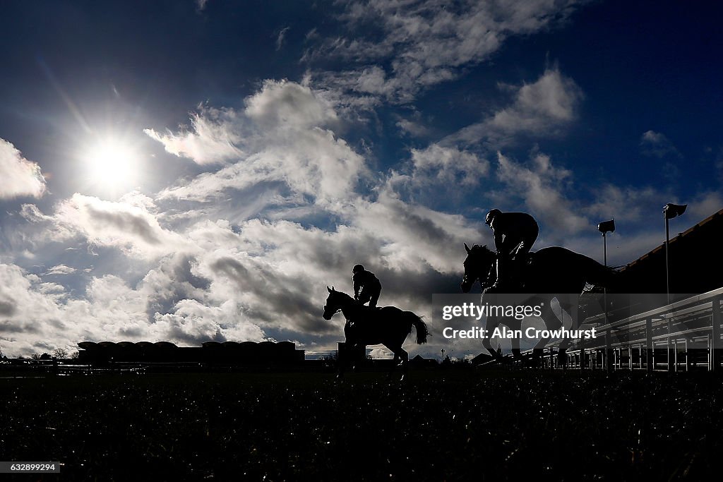 Cheltenham Races