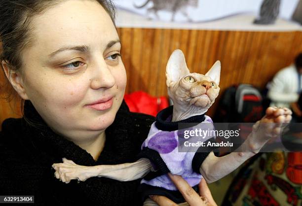 Woman holds a cat in her arms during the International Cat Show in Kiev, Ukraine, on January 28, 2017.The show presents more than 20 breeds of cats,...