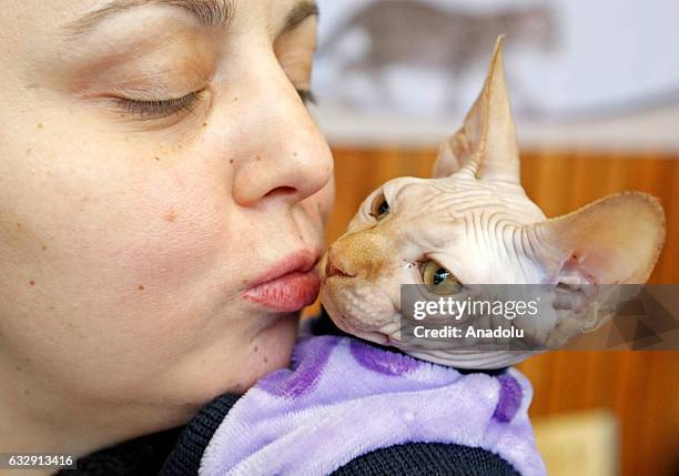 Woman kisses a cat during the International Cat Show in Kiev, Ukraine, on January 28, 2017.The show presents more than 20 breeds of cats, including...