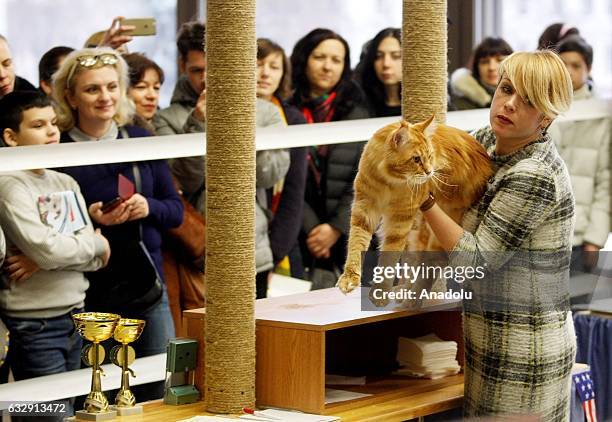 Woman holds a cat in her arms during the International Cat Show in Kiev, Ukraine, on January 28, 2017.The show presents more than 20 breeds of cats,...