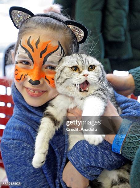 Girl holds a cat in her arms during the International Cat Show in Kiev, Ukraine, on January 28, 2017.The show presents more than 20 breeds of cats,...