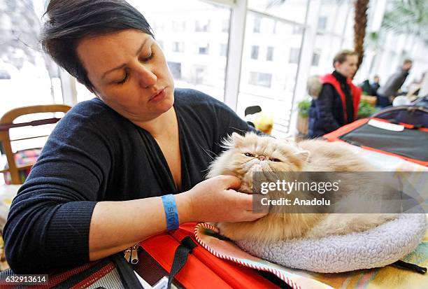 Woman strokes a cat during the International Cat Show in Kiev, Ukraine, on January 28, 2017.The show presents more than 20 breeds of cats, including...