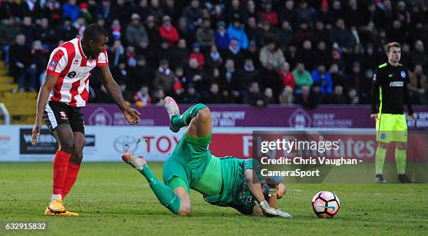 Brighton & Hove Albion's Niki Maenpaa suffers an injury after challenging Lincoln Citys Theo Robinson for a high ball during the Emirates FA Cup...