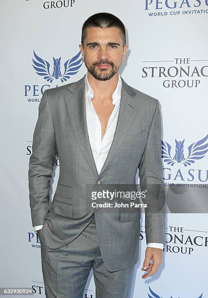 Juanes attends the Pegasus World Cup at Gulfstream Park on January 28, 2017 in Hallandale, Florida.