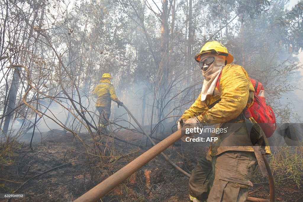 CHILE-FOREST-FIRE