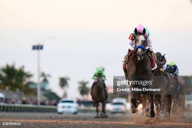 Mike Smith atop Arrogate crosses the finishline to win the $12 Million Pegasus World Cup Invitational at Gulfstream Park on January 28, 2017 in...