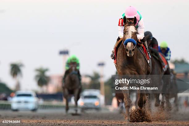 Mike Smith atop Arrogate crosses the finishline to win the $12 Million Pegasus World Cup Invitational at Gulfstream Park on January 28, 2017 in...