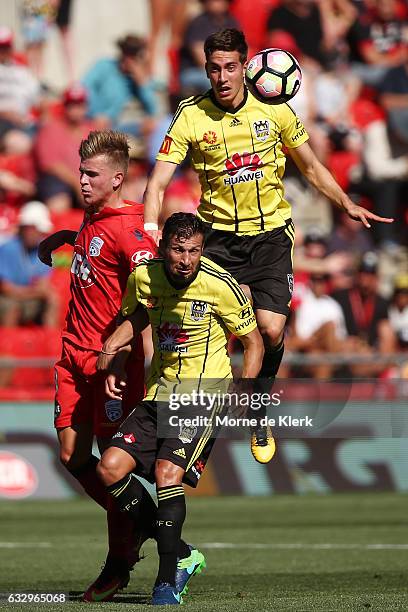 Alex Rodriguez and Vince Lia of Wellington Phoenix compete for the ball during the round 17 A-League match between Adelaide United and the Wellington...