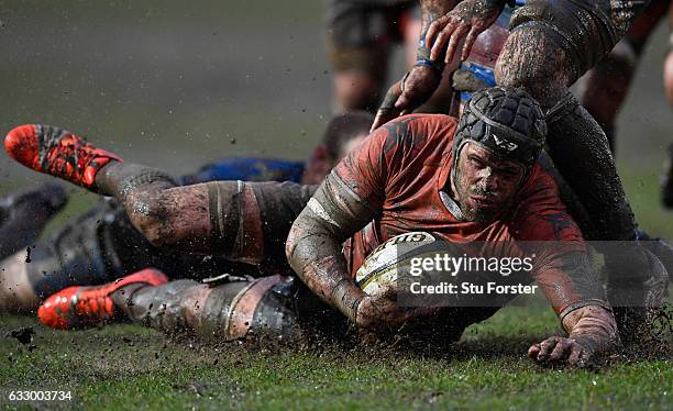 Falcons captain Will Welch is stopped just short of the line during the Anglo- Welsh Cup match between Newport Gwent Dragons and Newcastle Falcons at...