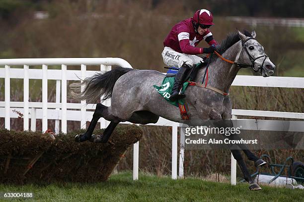 David Mullins riding Petit Mouchoir clear the last to win The BHP Insurance Irish Champion Hurdle at Leopardstown racecourse on January 29, 2017 in...