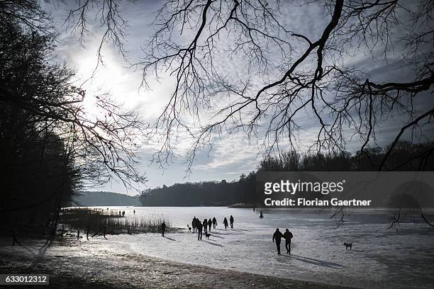 People and dogs walk on the frozen lake 'Grunewaldsee' on January 29, 2017 in Berlin, Germany.