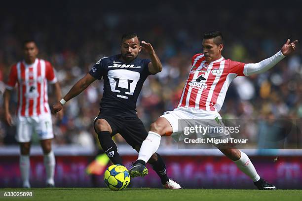 Bryan Rabello of Pumas fights for the ball with Xavier Baez of Necaxa during the 4th round match between Pumas UNAM and Necaxa as part of the Torneo...